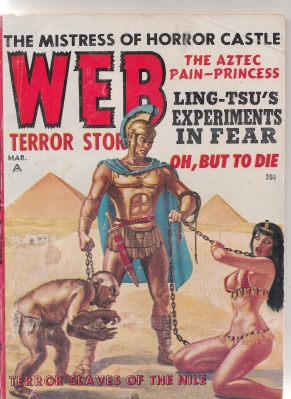 Image for Web Terror Stories Vol 4 no 2