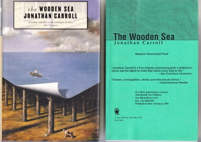 Image for The Wooden Sea.