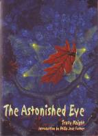 Image for The Astonished Eye.