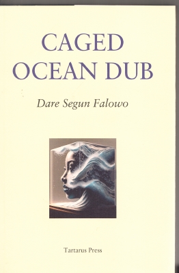 Image for Caged Ocean Dub.