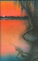 Image for The Substance Of A Shade.