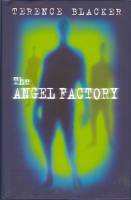 The Angel Factory. Image for The Angel Factory.