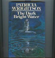Image for The Dark Bright Water.