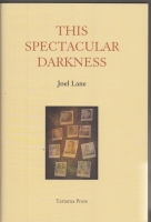 Image for This Spectacular Darkness: Critical Essays.