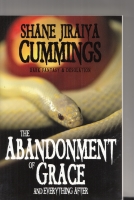 Image for The Abandonment Of Grace And Everything After: A Collection of Dark Fantasy And Desolation.