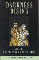 Image for Darkness Rising Volume Three: Secrets of Shadows.