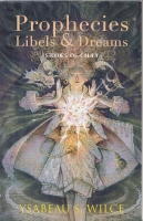 Image for Prophecies, Libels And Dreams: Stories of Califa.