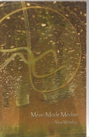 Image for Mean Mode Median (inscribed by the author).