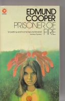 Image for Prisoner of Fire.