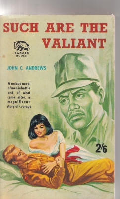 Image for Such Are The Valiant.