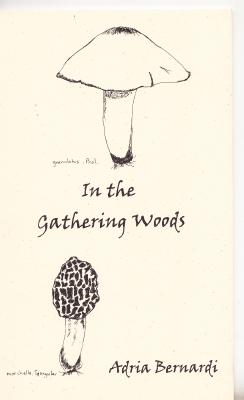Image for In The Gathering Woods.